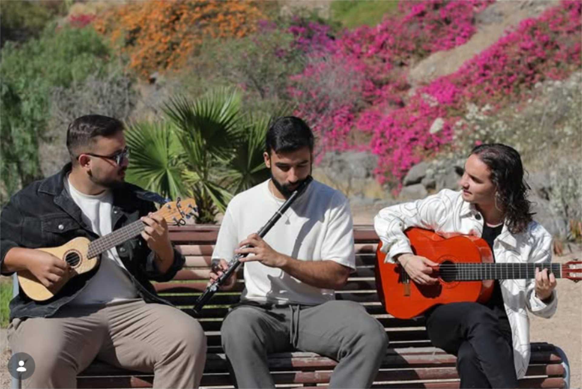 Trio de raiz